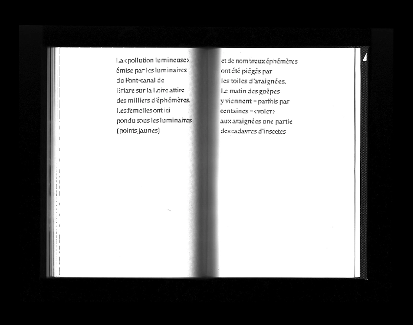 Éphémère - Texte éphémère