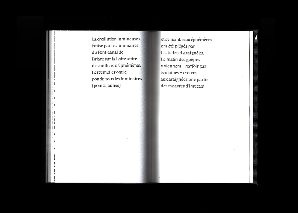 Mise en page avec image en pleine page et texte court